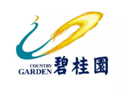 坡头碧桂园地产